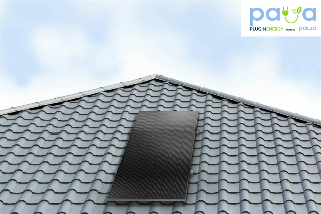 paua Roof 445